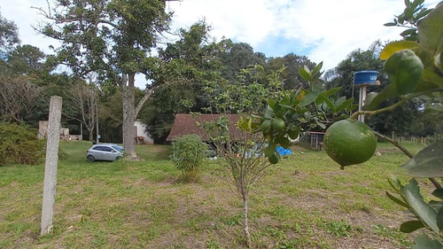 Imagem 11 de 15 de Sítio / Chácara Para Venda Em Araucária, Zona Rural, 2 Dormitórios, 1 Banheiro, 1 Vaga - 157_2-1591009