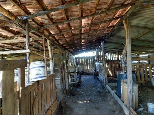 Chácara 20.000 M² - Lomba Grande - Novo Hamburgo - Rs - 1819 - 32578114