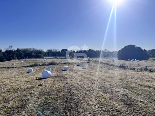 Hermoso Campo Con Vista A Volcanes.
