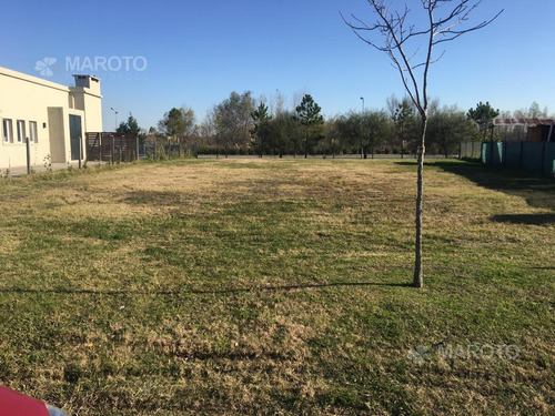 Imagen 3 de 8 de Lote En Venta En Canton Puerto - Maroto Propiedades