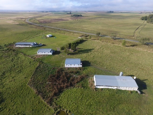 Imagen 14 de 18 de Venta Chacra 40 Hs Con Criadero De Cerdos En Las Flores.