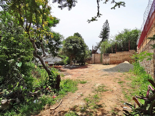 Terreno Em Santa Tereza - Lu261583