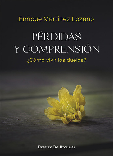 Perdidas Y Comprension De Enrique Martinez Lozano