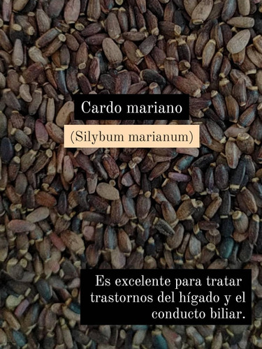 Cardo Mariano Medio Kilo. Natural Herbs