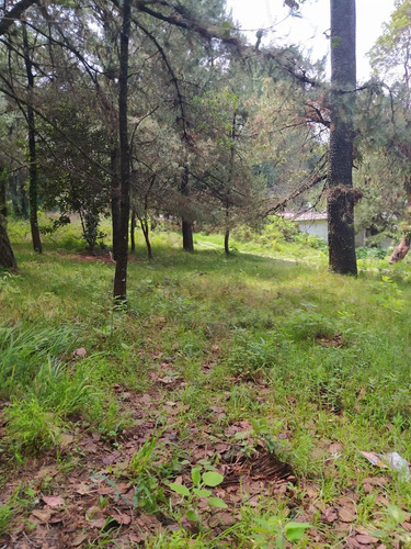 Imagen 7 de 23 de En Venta 3 Terrenos En Huitzilac, Morelos.