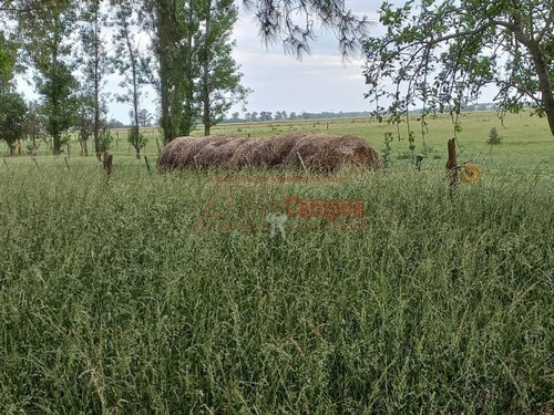Imagen 2 de 30 de Venta De Campo De 21 Has Entre Jeppener Y Ranchos