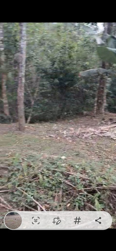 Vendo Um Sítio De 49.000 Metros Com Represa Dentro