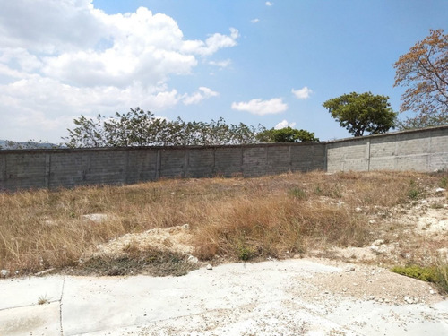 Imagen 11 de 13 de Terreno En Venta En Fraccionamiento Lomas Verdes A 5 Minutos