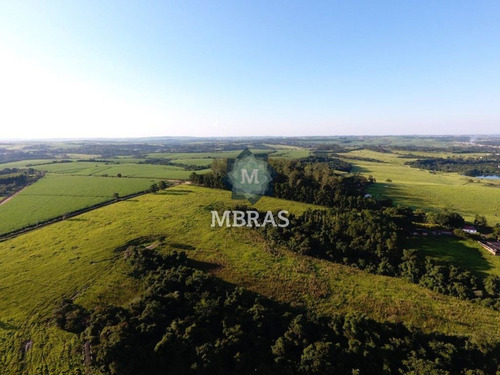 Imagem 5 de 13 de Fazenda - Salto - Mb8804
