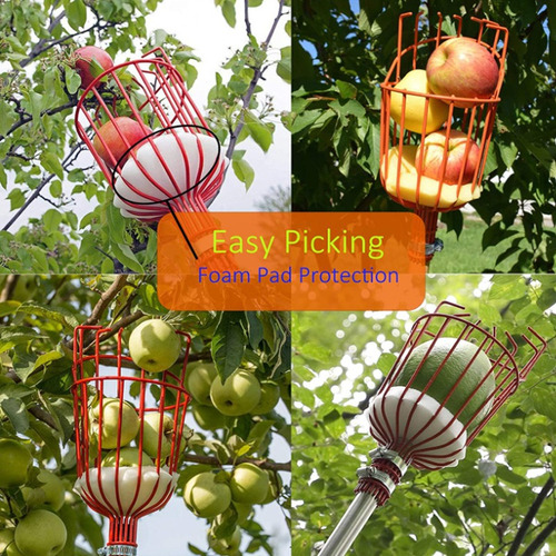 Imagen 6 de 8 de Recolector De Frutas Ajustable Con Cesta De Metal Giratoria