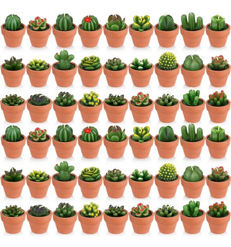 60 Velas Suculentas De Cactus Con Maceta De Terracota, Mini