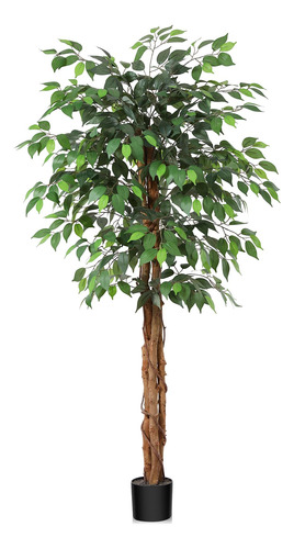 Oakred Árbol De Ficus Artificial De 5 Pies Con Tronco De M.