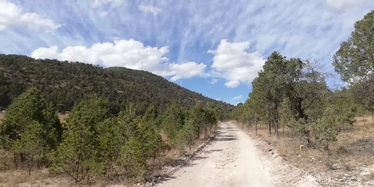 Lotes Campestres En Sierra Escondida Con Real Bosque