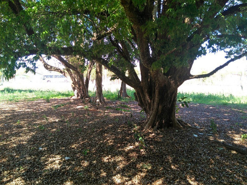 Chacara-para-venda-em-mirandas-tatui-sp - 131