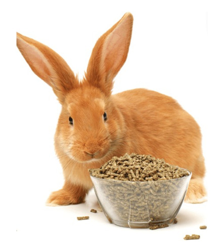 Pellet Alimento De Conejo Completo A Granel 25kg