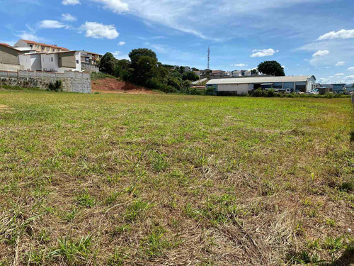 Imagem 8 de 15 de Terreno Industrial Comercial Bragança Pta Beira Rodovia