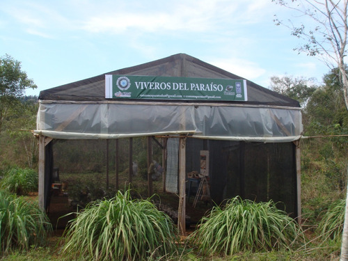Imagen 17 de 29 de Vendo Complejo Turístico Innovador Cercano Al Parque Provincial Moconá