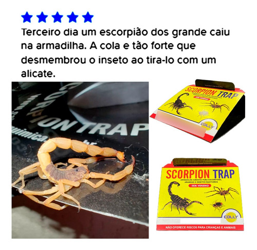 Armadilha Adesiva Para Escorpião Colly Scorpion Trap 3 Und