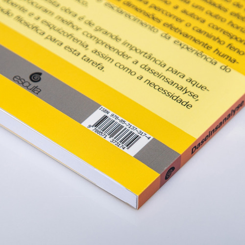 Livro Daseinsanalyse E Esquizofrenia