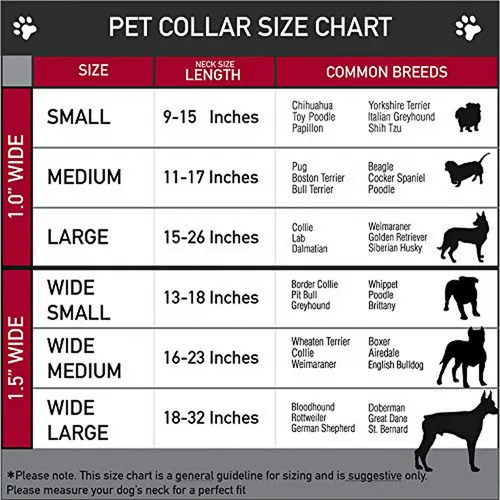 Collar Perro Cinturón Seguridad Galaxy Azul 16-23 1.5