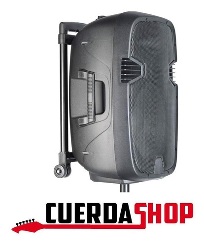 Bafle Activo Portatil A Batería 12 160w 2 Mics Y Bluetooth