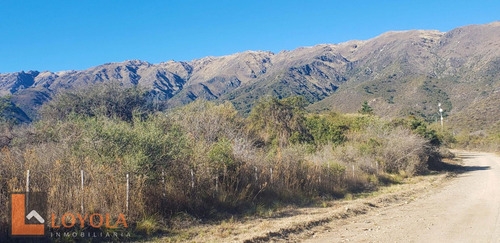 Imagen 13 de 16 de Hermosa Fracción De Bosque En La Zona Mas Alta!!!