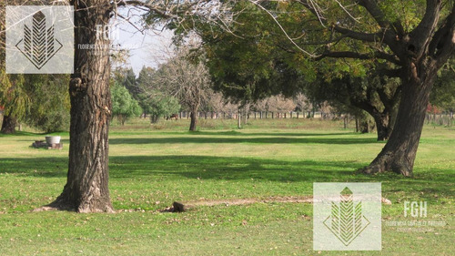 Imagen 6 de 30 de Lote Laguna El Campo