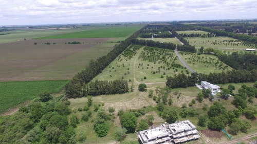Imagen 2 de 17 de Departamento - Fighiera