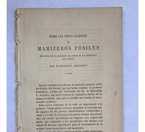 Ameghino. Mamíferos Fósiles En Barrancas Del Paraná. 1883.