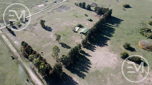 Venta Cabaña Sobre Gran Fracción De 4 Lotes Presidente Perón