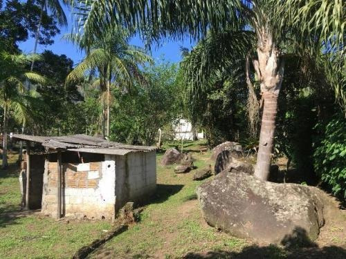 Excelente Chácara No Rio Do Peixe Pedro De Toledo | 4749 Fr