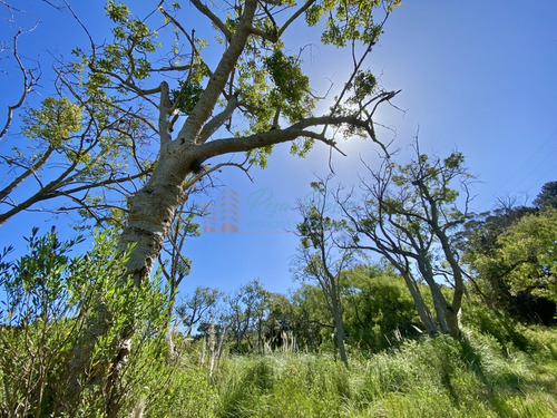 Terreno, Venta, Piedras Del Chileno, Punta Del Este