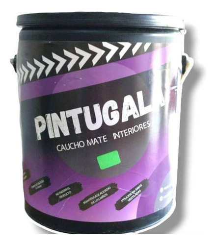 Pintura De Caucho Mate Pintugal 