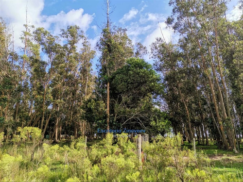 Chacra 7has Próxima A Piedras De Afilar En Canelones
