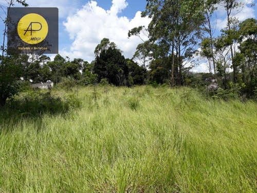 Terreno À Venda, 30000 M² Por R$ 1.200.000 - Vila São Sebastião - Ferraz De Vasconcelos/sp - Te0040