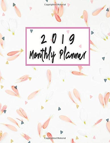 2019 Monthly Planner Schedule Organizer Beautiful Seamless P