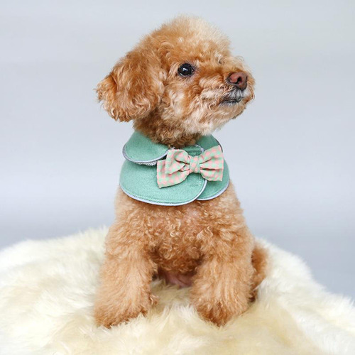 Año Nuevo Navidad Gato Perro Mascota Capa Ropa Verde-l