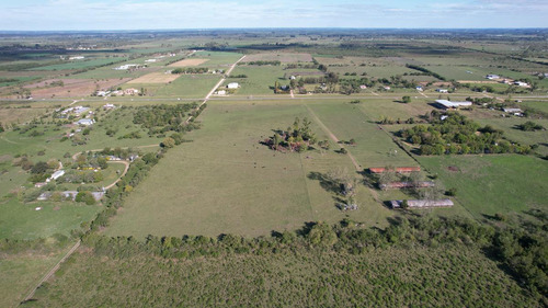 Imagen 7 de 30 de 12,5 Has Sobre Ruta 135 Ingreso A Colón Entre Ríos