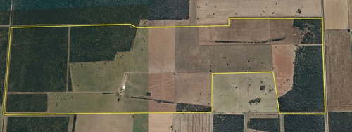 Imagen 3 de 10 de Terreno Campo En Venta En La Maruja, Rancul, La Pampa