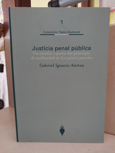 Derecho. Justicia Penal Pública. Gabriel Ignacio Anitua