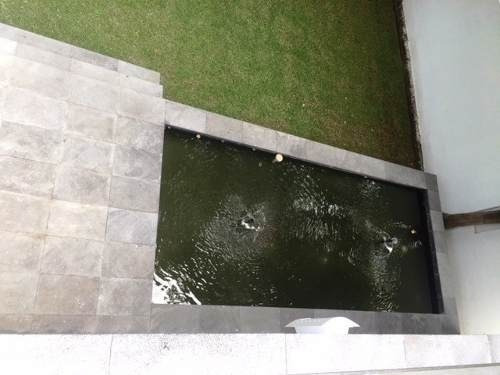 Imagen 10 de 14 de Ahuatepec Casa Nueva Y Muy Amplia En Fraccionami Escriturada