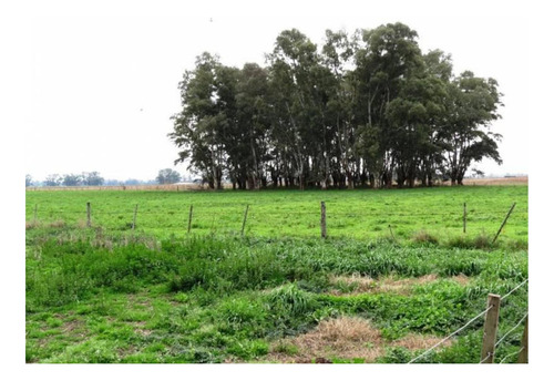 Campo En Venta, 155ha Acceso Zabala, Marcos Paz, Buenos Aire
