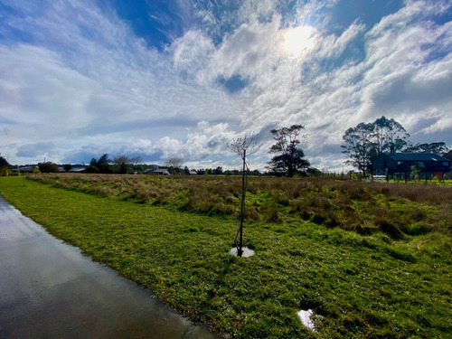 Espectacular Parcela De 5.000 M2 En Reserva Santa Clara!