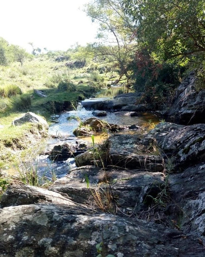 Imagen 8 de 15 de Campo Calmayo