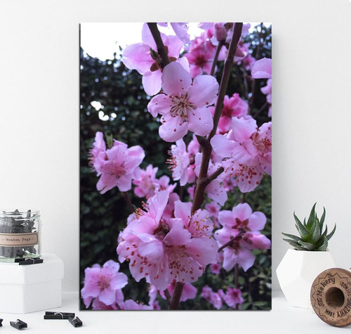 Vinilo Decorativo 30x45cm Cerezo En Flor Rosa Pink