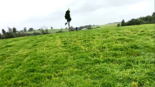 Venta Parcela 5.000 Mts.2 - Los Muermos