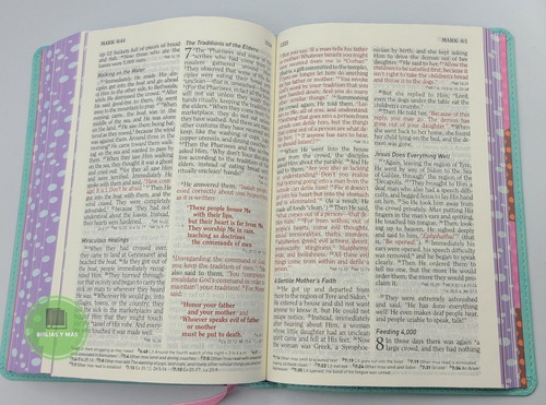 Imagen 9 de 9 de Biblia De Estudio Infantil En Ingles- Hcb Study Bible 4 Kids