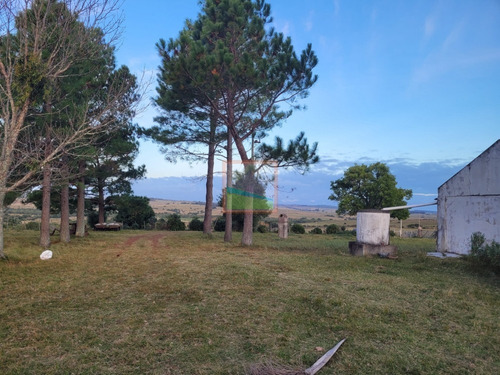 Imagen 13 de 26 de 70 Hectáreas De Campo Ganadero Corte De La Leña