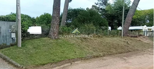 Terreno En Venta,punta Del Este 