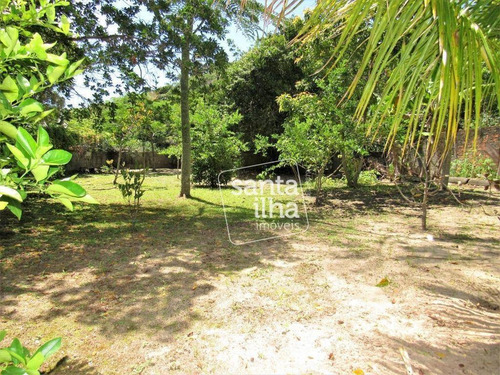 Imagem 11 de 30 de Casa Com 3 Dormitórios À Venda, 217 M² - Armação Do Pântano Do Sul - Florianópolis/sc - Ca2824